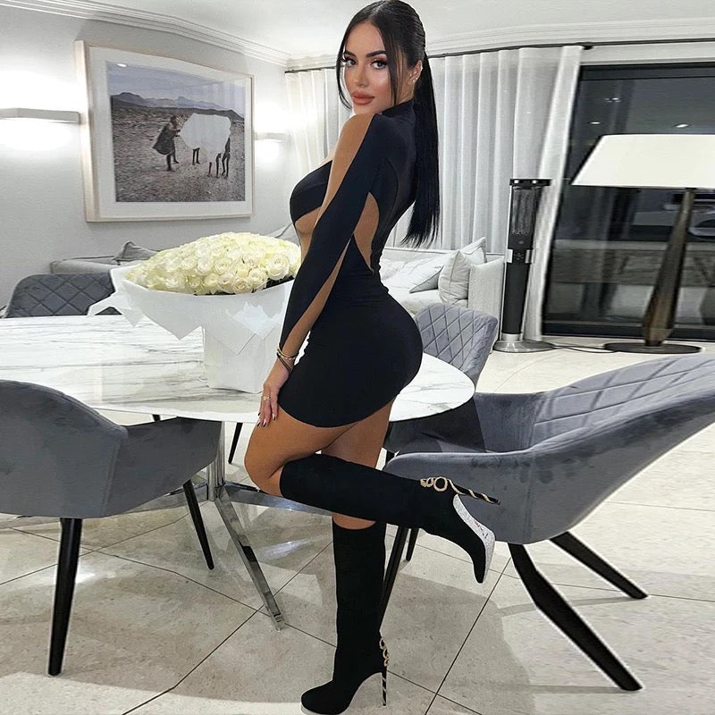 Anastasiya Mesh Dress