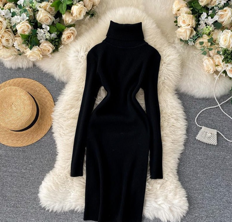 Black Turtle Neck Dress