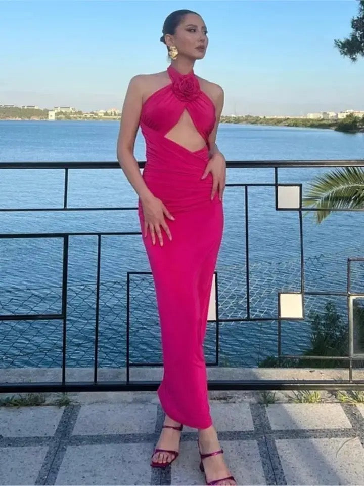 Isadora Bodycon Dress