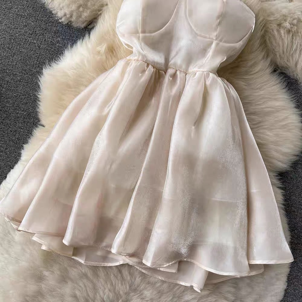 Meredith Organza Dress