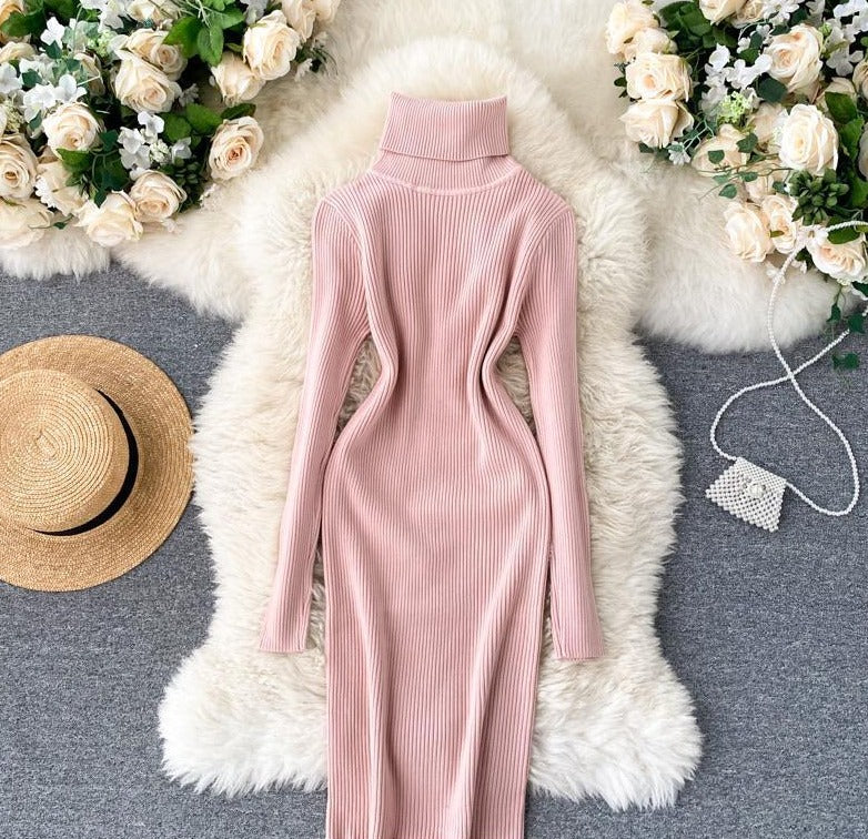 Ariana Turtle Neck Dress